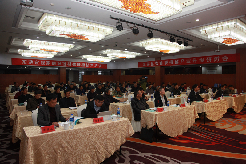 浙農(nóng)集團(tuán)龍游柑橘產(chǎn)業(yè)精準(zhǔn)幫扶技術(shù)研討會獲農(nóng)民好評