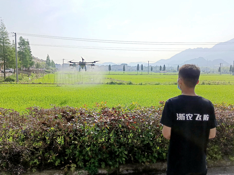 浙江日?qǐng)?bào)聯(lián)合浙農(nóng)集團(tuán)助力常山縣球川鎮(zhèn)農(nóng)戶(hù)增收致富 “云指導(dǎo)”種植技術(shù)送進(jìn)田間地頭