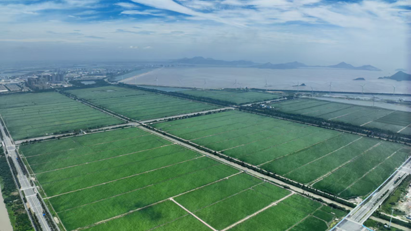 浙農(nóng)助力臺州農(nóng)業(yè)新飛躍 打造現(xiàn)代農(nóng)業(yè)服務(wù)新標桿